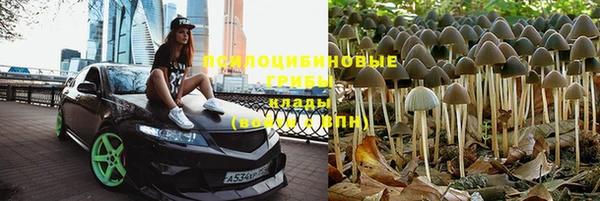 бошки Волоколамск