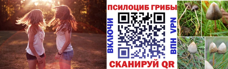 Псилоцибиновые грибы мицелий  наркота  Нолинск 