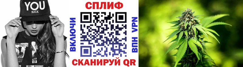 Бошки Шишки гибрид  Нолинск 
